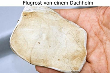 Petzoldts Reinigungsknete-Profi Set, zur Lackreinigung - 7